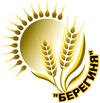 "Берегиня-Збірна Херсонської області-ДЮСШ" м. Нова Каховка 